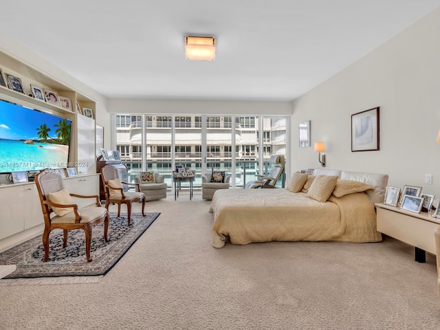 bedroom featuring multiple windows and carpet floors