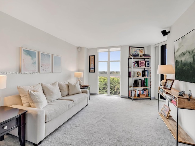 view of carpeted living room