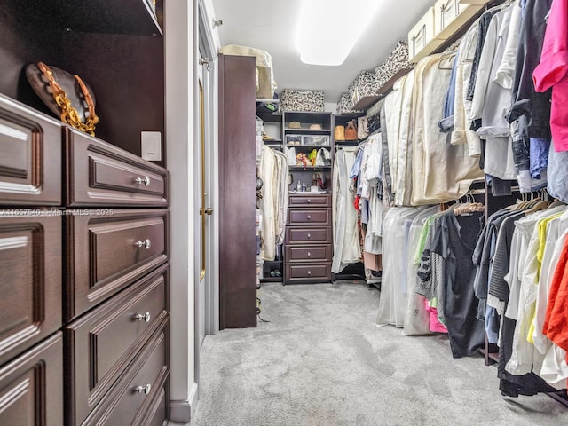 spacious closet with light colored carpet