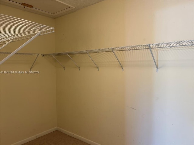 spacious closet with carpet flooring