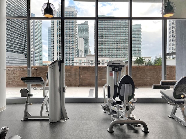 exercise room featuring expansive windows and plenty of natural light