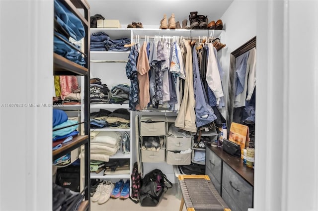 view of spacious closet