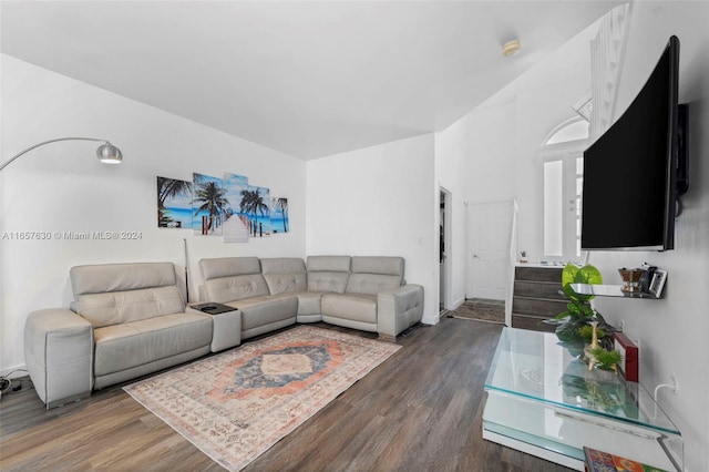 living room featuring dark hardwood / wood-style flooring