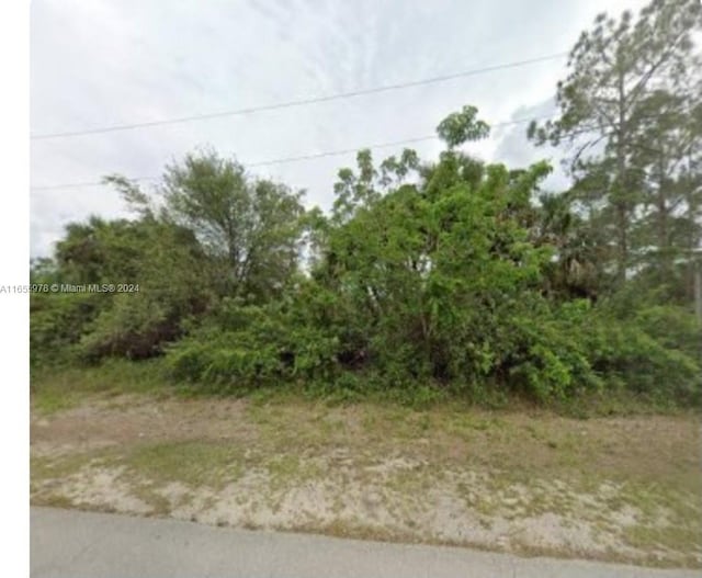 Listing photo 2 for 1248 Amherst St E, Lehigh Acres FL 33974