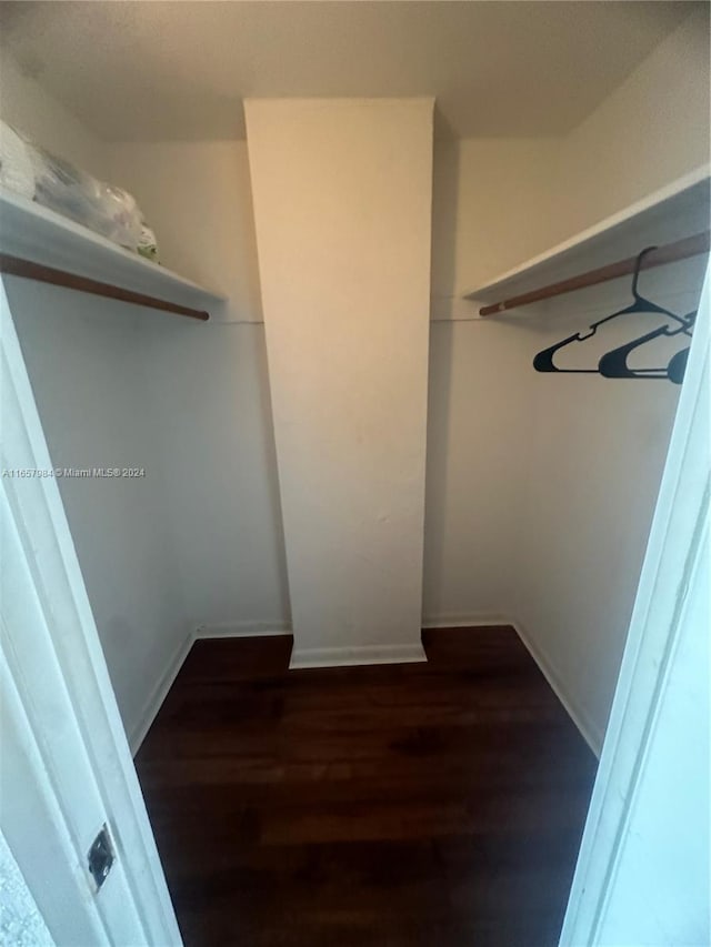 walk in closet with dark wood-type flooring