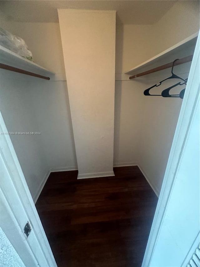 walk in closet featuring dark hardwood / wood-style flooring