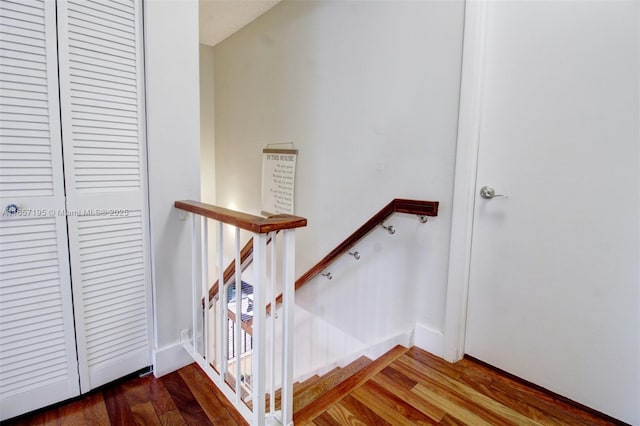 staircase featuring hardwood / wood-style flooring