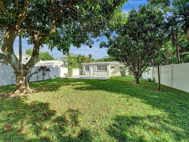 view of yard with a patio