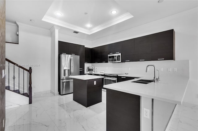 kitchen with stainless steel appliances, a raised ceiling, sink, and a center island