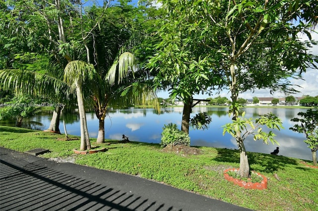 property view of water