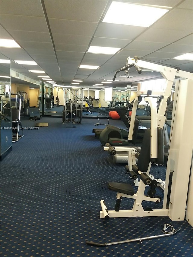 gym with a paneled ceiling and carpet flooring