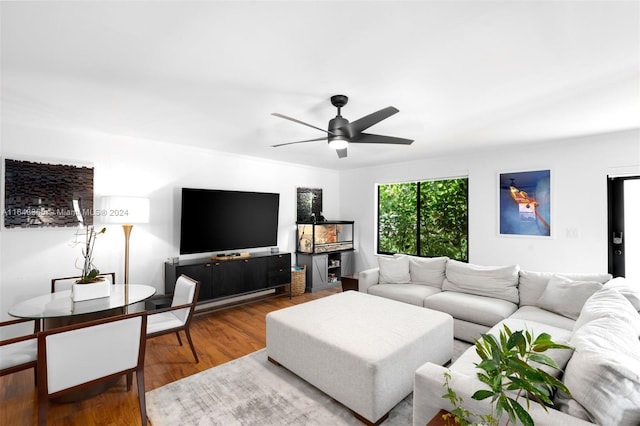 living room with ceiling fan and hardwood / wood-style flooring