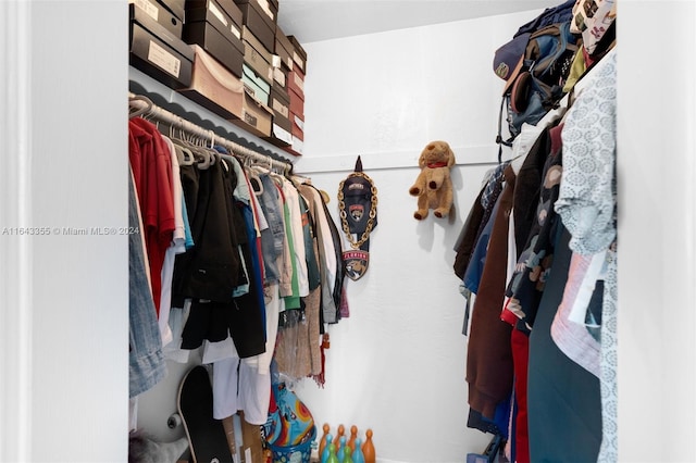 view of spacious closet