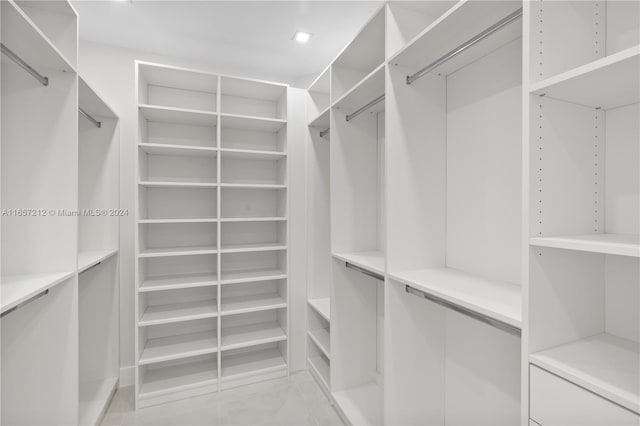 view of spacious closet