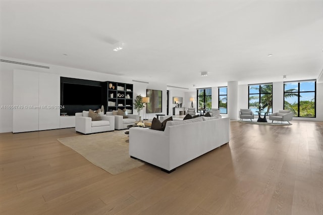 living room featuring expansive windows and light wood-type flooring