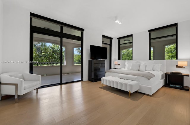 bedroom with multiple windows, light hardwood / wood-style flooring, and access to exterior