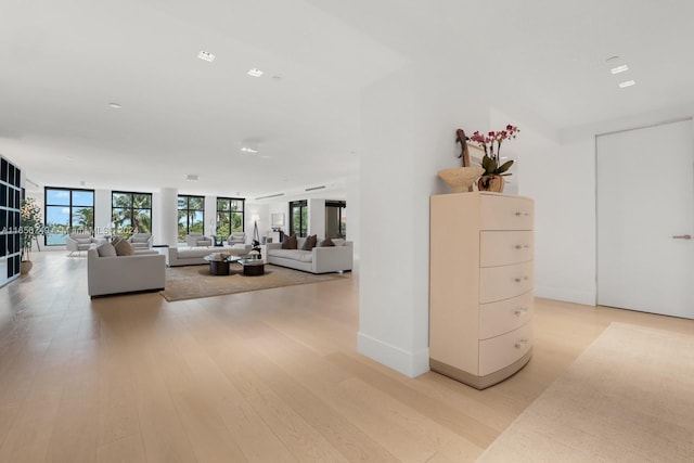 living room featuring light hardwood / wood-style floors