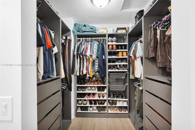 spacious closet featuring light hardwood / wood-style floors