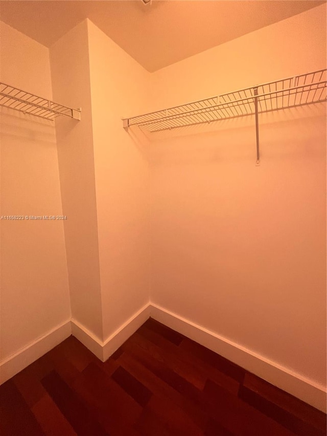 spacious closet featuring wood-type flooring