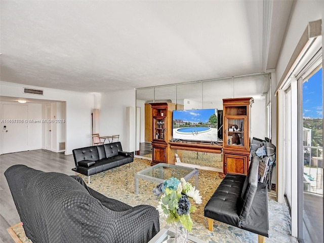 living room featuring hardwood / wood-style flooring