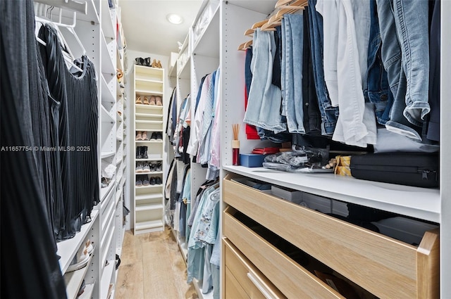 spacious closet featuring light wood finished floors