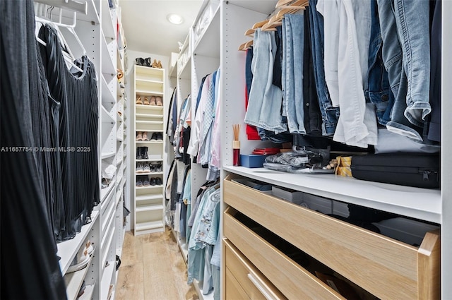 3551 E Glencoe St, Miami, FL 33133 - walk in closet with light wood-type flooring