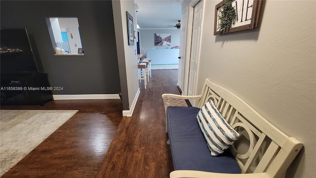 hallway featuring dark wood-type flooring