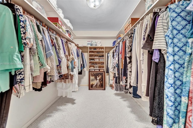 spacious closet with carpet flooring