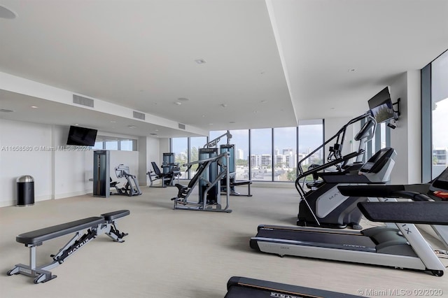 exercise room featuring expansive windows and carpet floors