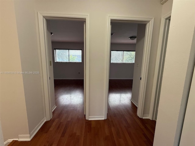 corridor featuring dark wood-type flooring