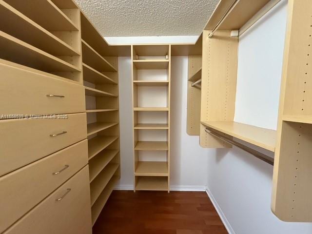 spacious closet featuring dark hardwood / wood-style flooring