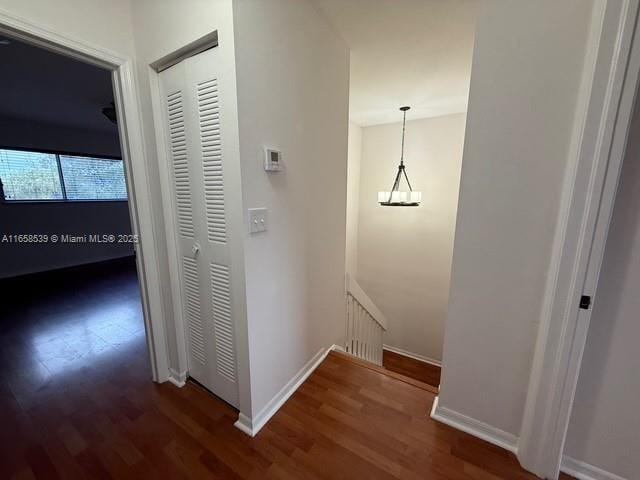 hallway featuring dark wood-type flooring