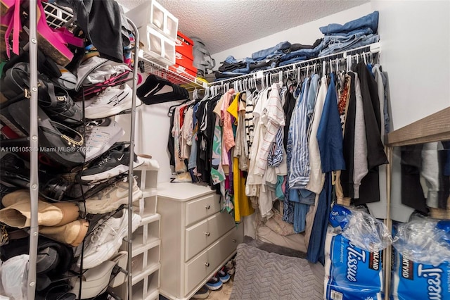 view of walk in closet