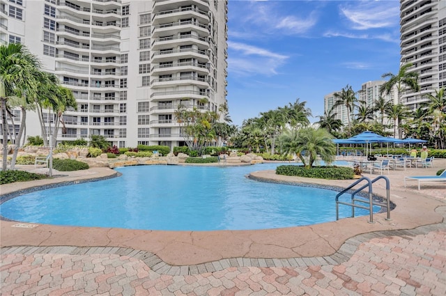 view of pool with a patio