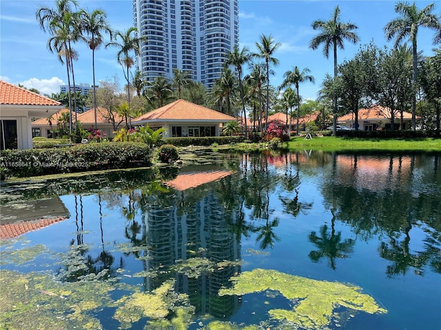 property view of water