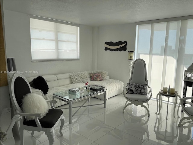 living room featuring a textured ceiling