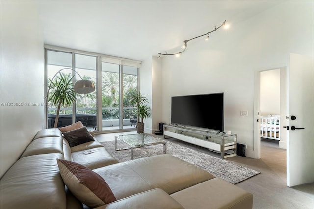 carpeted living room featuring rail lighting and a towering ceiling