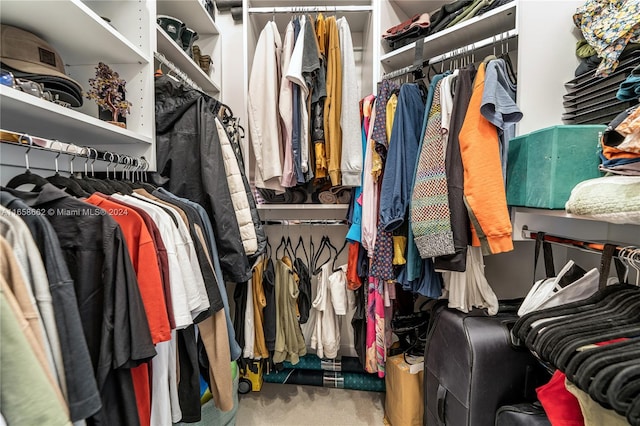 spacious closet featuring carpet floors