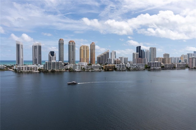 property view of water featuring a city view