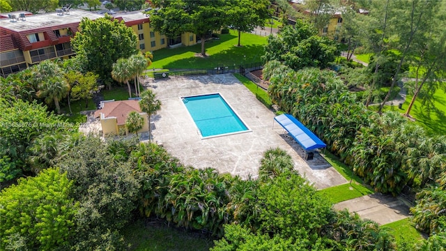 view of swimming pool with a lawn