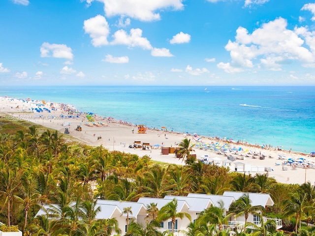 property view of water featuring a beach view