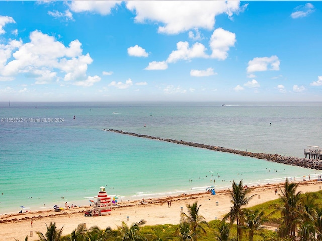 property view of water with a view of the beach