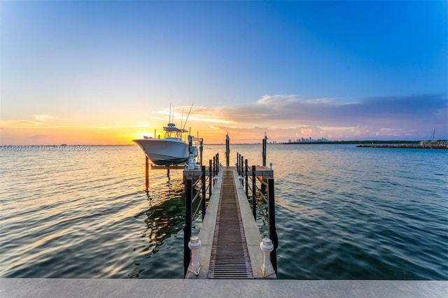 dock area with a water view