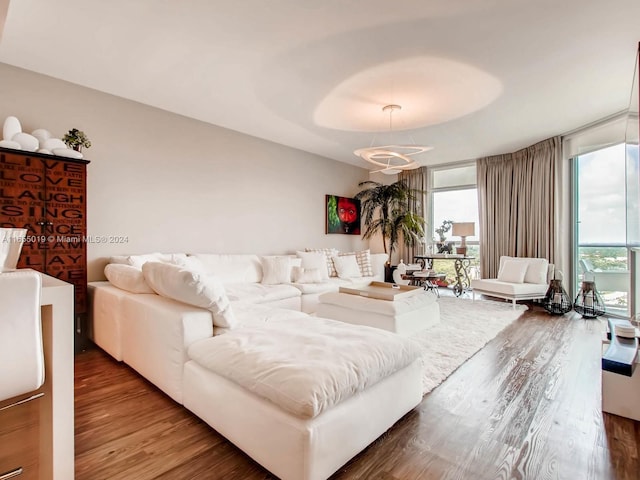 living room with a wealth of natural light and dark hardwood / wood-style flooring