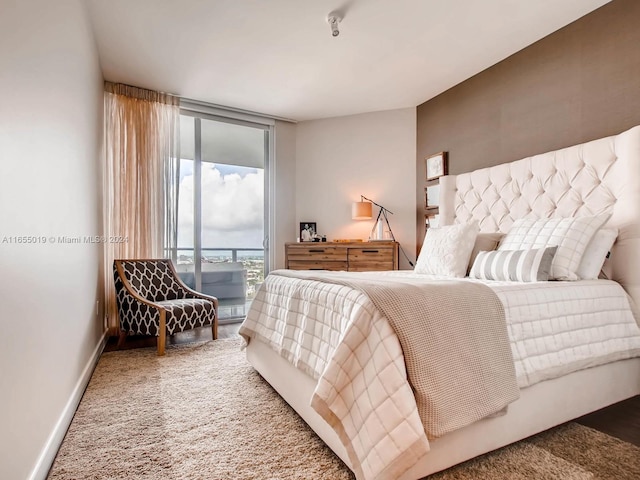 bedroom featuring access to exterior and carpet floors