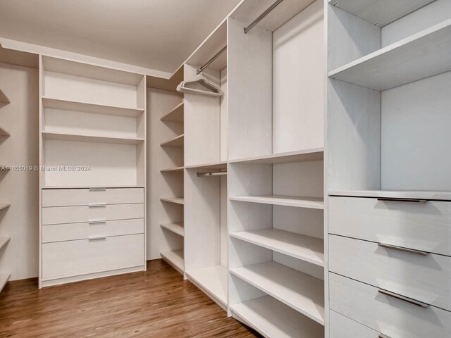 spacious closet featuring light wood-type flooring