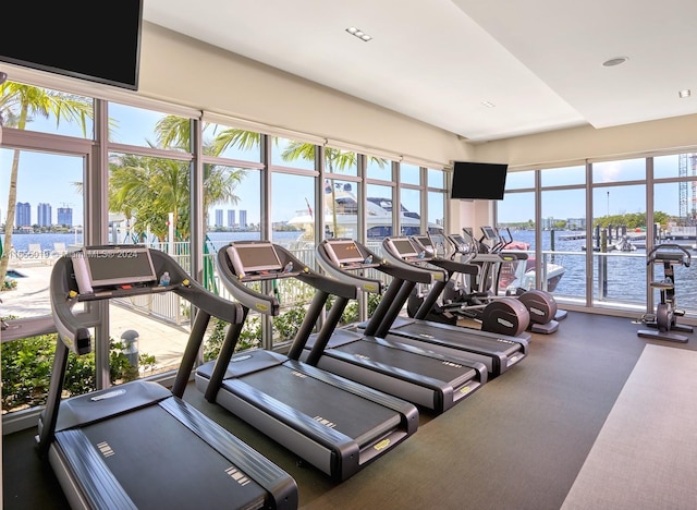 workout area with a healthy amount of sunlight