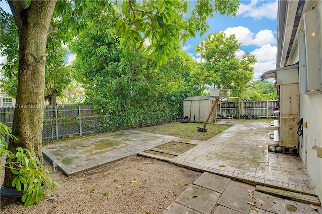 view of yard with a patio area and a storage shed