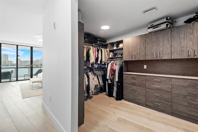 spacious closet featuring light hardwood / wood-style flooring