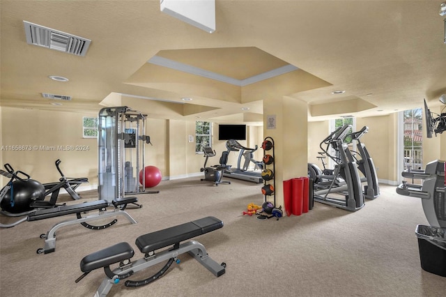 gym featuring a tray ceiling, plenty of natural light, and ornamental molding